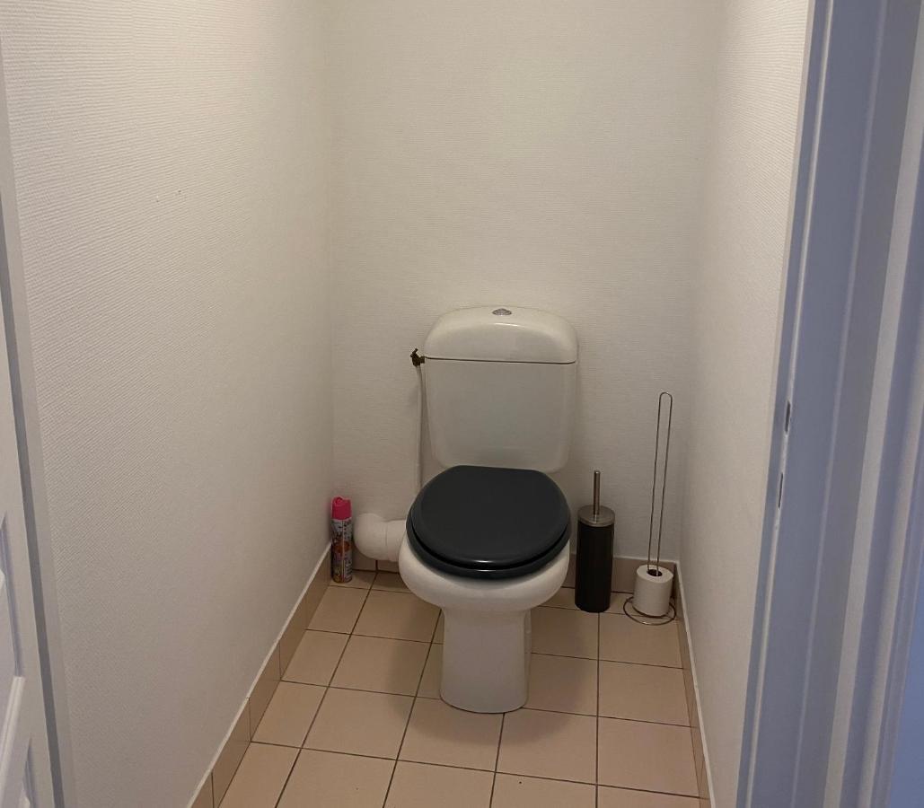 Charmant Appartement En Bord De Cher Saint-Avertin Exterior foto